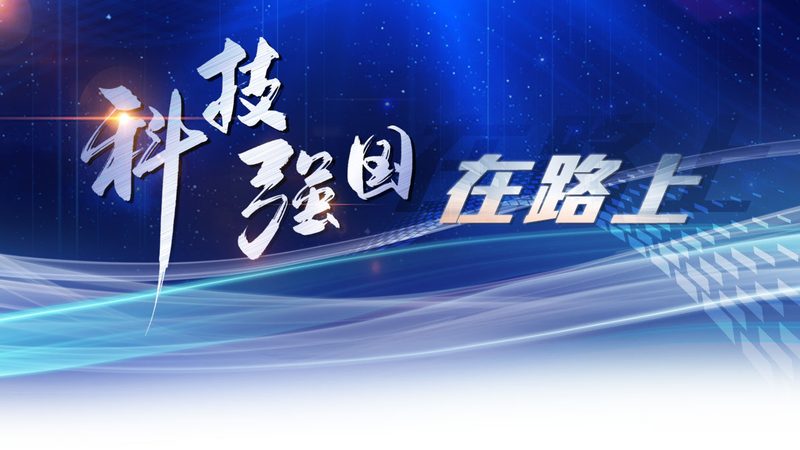 数据安全培训：构建企业坚实的数据防护堡垒